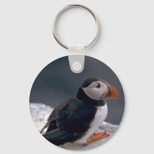 Puffin, Fratercula artica Sleutelhanger (Voorkant)