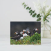Puffin Gang Briefkaart (Staand voorkant)