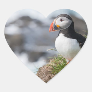 Puffin Hart Sticker