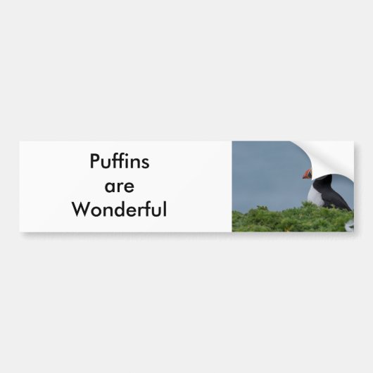 Puffin I Bumpersticker (Voorkant)