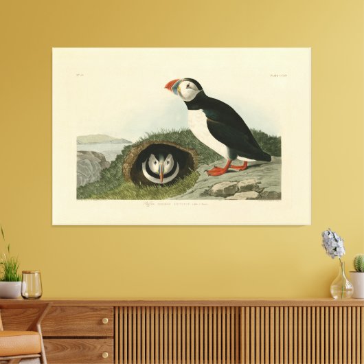 Puffin Illustration Canvas Afdruk (Insitu (Woonkamer))