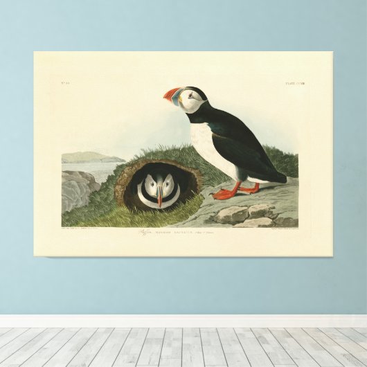  Puffin Illustration Canvas Afdruk (Insitu (Houten vloer))