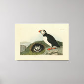  Puffin Illustration Canvas Afdruk (Voorkant)