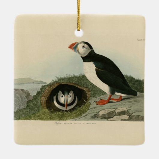  Puffin Illustration Keramisch Ornament (Achterkant)