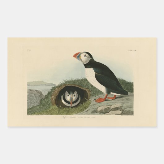  Puffin Illustration Rechthoekige Sticker (Voorkant)