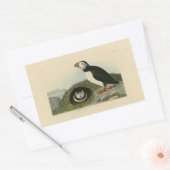  Puffin Illustration Rechthoekige Sticker (Envelop)