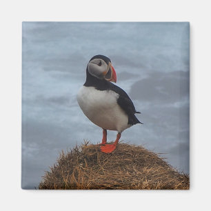 Puffin in de Mist Koelkast Magnet
