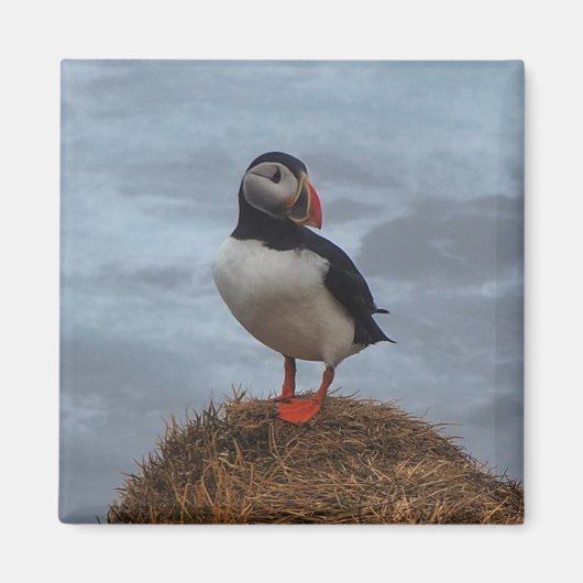 Puffin in de Mist Koelkast Magnet (Voorkant)