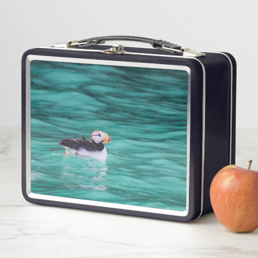 Puffin in Resurrection Bay, Alaska (In situ)