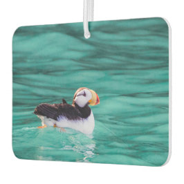 Puffin in Resurrection Bay, Alaska Luchtverfrisser