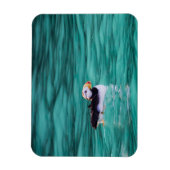 Puffin in Resurrection Bay, Alaska Magneet (Verticaal)