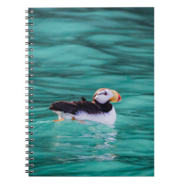 Puffin in Resurrection Bay, Alaska Notitieboek