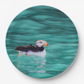 Puffin in Resurrection Bay, Alaska Papieren Bordje (Voorkant)