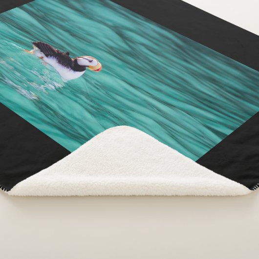 Puffin in Resurrection Bay, Alaska Sherpa Deken (3/4)