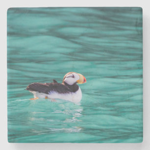 Puffin in Resurrection Bay, Alaska Stenen Onderzetter