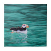Puffin in Resurrection Bay, Alaska Tegeltje (Voorkant)