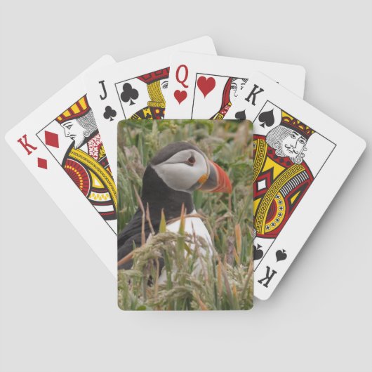 Puffin in the Grass Speelkaarten (Achterkant)