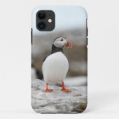 Puffin Iphone Case 5 (Achterkant)