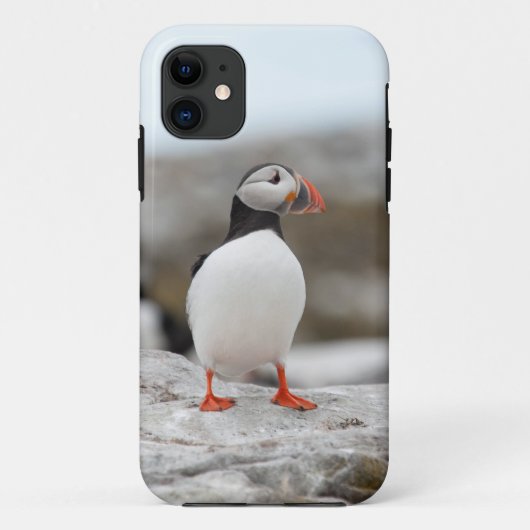 Puffin Iphone Case 5 (Achterkant)
