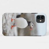 Puffin Iphone Case 5 (Achterkant (horizontaal))