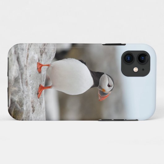 Puffin Iphone Case 5 (Achterkant (horizontaal))