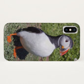 Puffin iPhone X Hoesje (Achterkant (horizontaal))