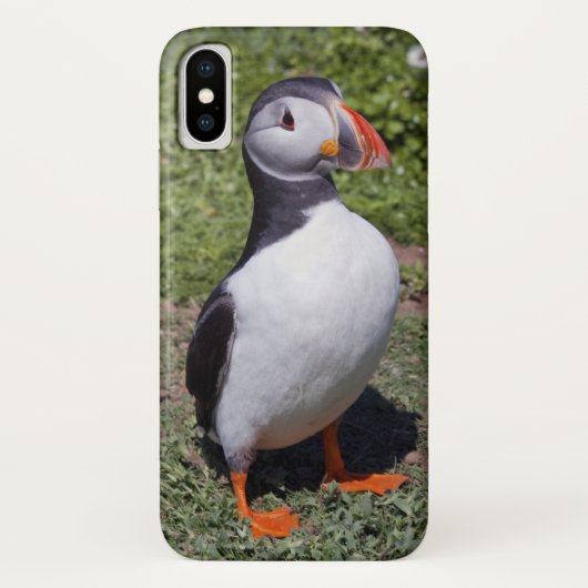 Puffin iPhone X Hoesje (Achterkant)