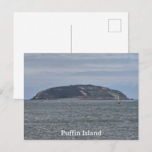 Puffin Island Briefkaart (Voorkant / Achterkant)