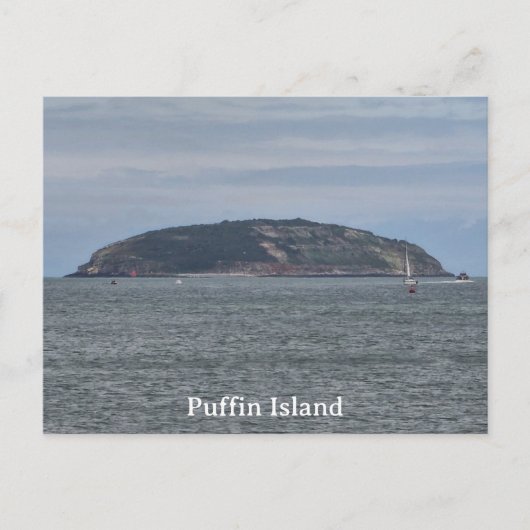 Puffin Island Briefkaart (Voorkant)
