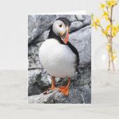 Puffin Kaart (Gele Bloem)