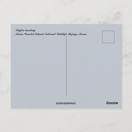 Puffin landing in Maine Briefkaart (Achterkant)