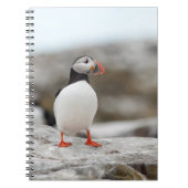 Puffin-laptop Notitieboek (Voorkant)