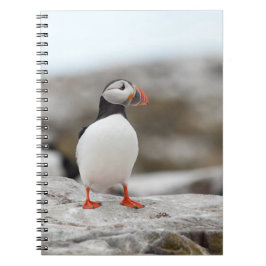 Puffin-laptop Notitieboek