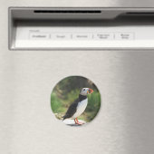 Puffin Magneet (Insitu (Vaatwasser))