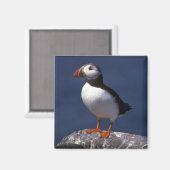 Puffin Magneet (Voorkant / Achterkant)