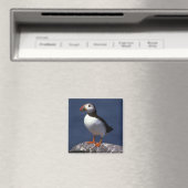 Puffin Magneet (Insitu (Vaatwasser))