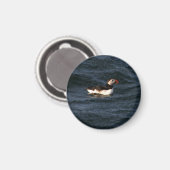 Puffin Magnet (Voorkant / Achterkant)