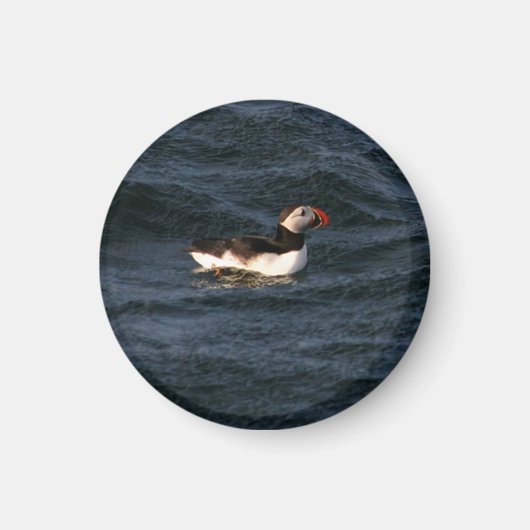 Puffin Magnet (Voorkant)