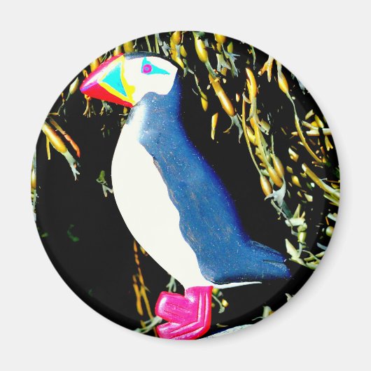 puffin magnet (Voorkant)