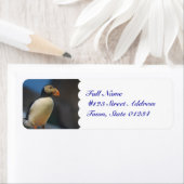 Puffin Mailing Labels (Insitu)