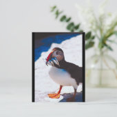 Puffin met vis briefkaart (Staand voorkant)