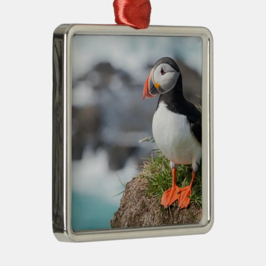 Puffin Metalen Ornament (Rechts)