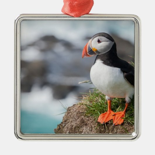 Puffin Metalen Ornament (Voorkant)