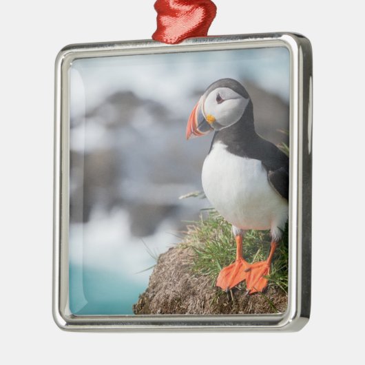 Puffin Metalen Ornament (Links)