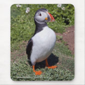 Puffin Mousemat Muismat (Voorkant)