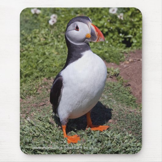 Puffin Mousemat Muismat (Voorkant)