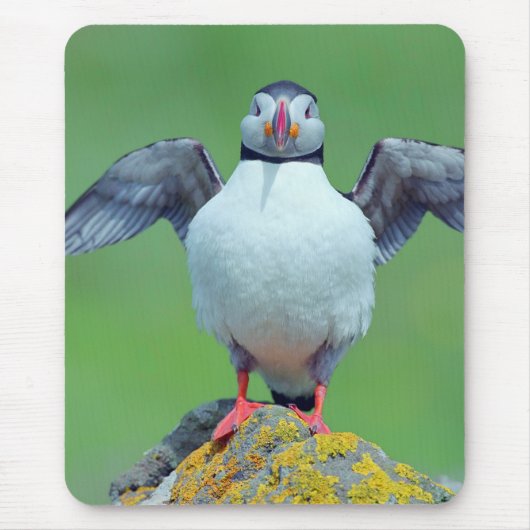 Puffin Muismat (Voorkant)