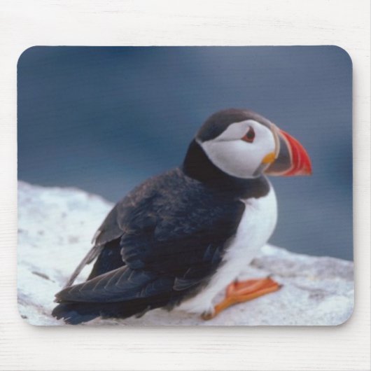Puffin Muismat (Voorkant)