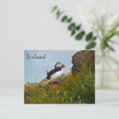 Puffin on a Cliff in IJsland Briefkaart (Staand voorkant)
