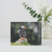 Puffin on a Rock Briefkaart (Staand voorkant)